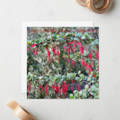 Alles Gute für den Januar aus Kalifornien! Mitteilungskarte (Vorderseite/Rückseite Beispiel)