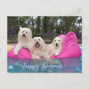 Alles Gute im Sommer! Postkarte
