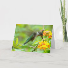 Alles Gute kommt von oben