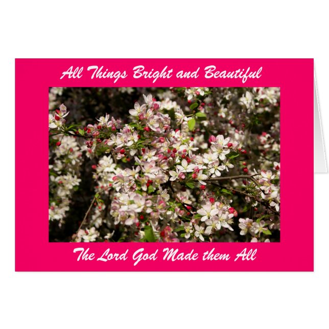 Alles Gute und Beautifu... (Vorderseite (Horizontal))