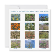 Alles Gute und ein Friedliches Neues Jahr!