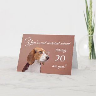 Alles Gute zum 20. Geburtstag, besorgter Beagle Karte
