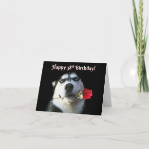 Alles Gute zum 38. Geburtstag mit Niedlichem Husky Karte