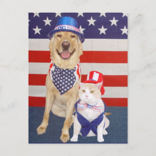 Alles Gute zum 4. Juli! Postkarte