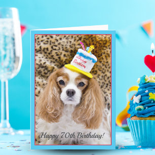Alles Gute zum 70. Geburtstag Cavalier King Charle Karte