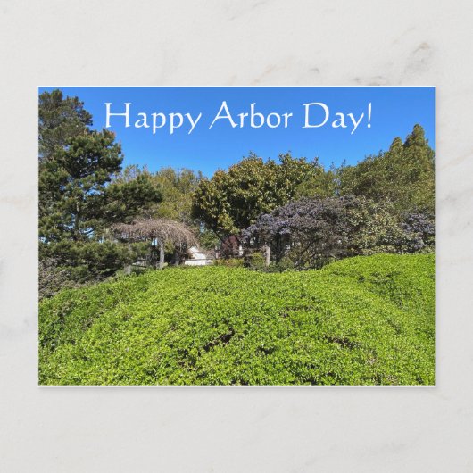 Alles Gute zum Arbor Day! Postkarte (Vorderseite)