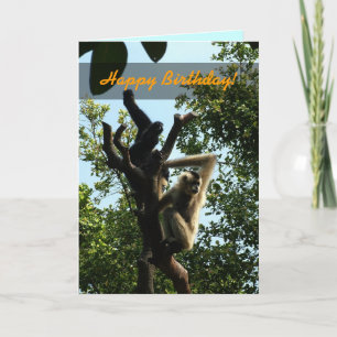 Alles Gute zum Geburtstag, Affe auf einem Baum Karte