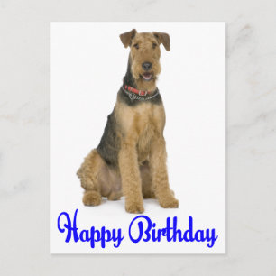 Alles Gute zum Geburtstag Airedale Terrier Welpe H Postkarte