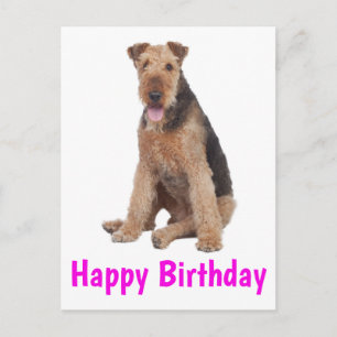 Alles Gute zum Geburtstag Airedale Terrier Welpe H Postkarte