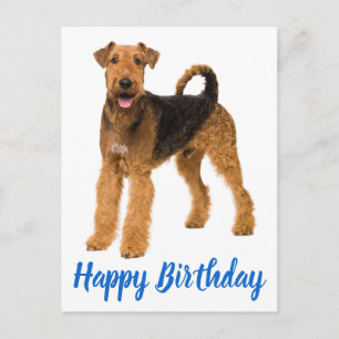 Alles Gute zum Geburtstag Airedale Terrier Welpe H Postkarte