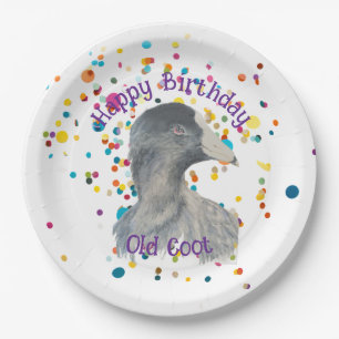 Alles Gute zum Geburtstag Alter Kauz Über den Berg Pappteller