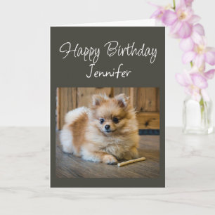 Alles Gute zum Geburtstag Benutzername Süßer Pomer Karte