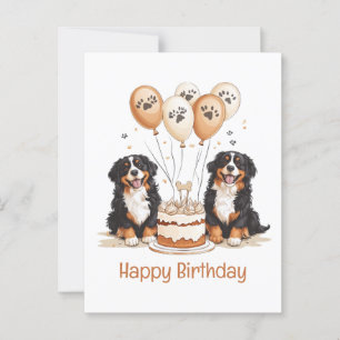 Alles Gute zum Geburtstag Berner Sennenhunde Postkarte