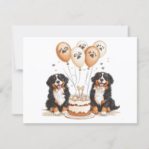 Alles Gute zum Geburtstag Berner Sennenhunde Postkarte