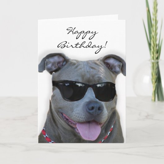 Alles Gute zum Geburtstag blaues pitbull mit Karte (Vorderseite)