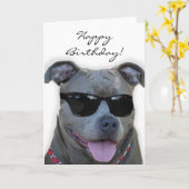 Alles Gute zum Geburtstag blaues pitbull mit Karte (Gelbe Blume)