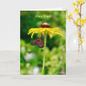 Alles Gute zum Geburtstag: Bleibe Sie cool Karte (Gelbe Blume)