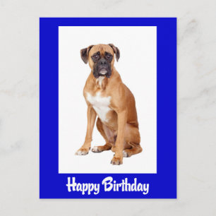 Alles Gute zum Geburtstag Boxer Welpe Blau Hund Po Postkarte