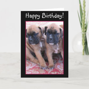 Alles Gute zum Geburtstag Boxer Welpen Grußkarte Karte