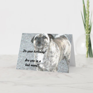 Alles Gute zum Geburtstag Bulldogge Karte