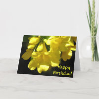 Alles Gute zum Geburtstag! Carolina Jasmine-Karte