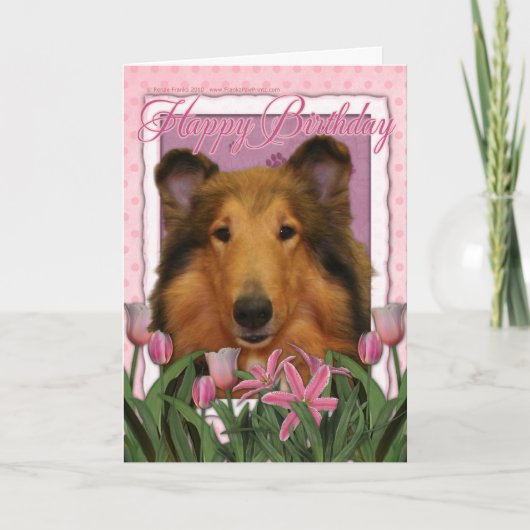Alles Gute zum Geburtstag - Collie - Natalie Karte (Vorderseite)