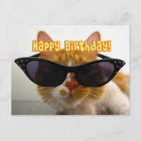 Alles Gute zum Geburtstag - Coole Katze mit Sonnen