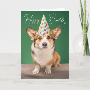 Alles Gute zum Geburtstag   Corgi Geburtstag Welpe Karte