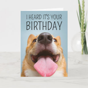 Alles Gute zum Geburtstag   Corgi-Lächeln Karte
