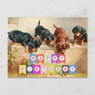 Alles Gute zum Geburtstag, Dachshund-Welpen, Postkarte