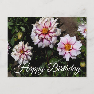 Alles Gute zum Geburtstag Dahlia Edge of Joy #1 Po Postkarte