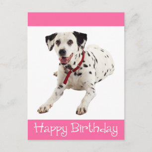 Alles Gute zum Geburtstag Dalmatiner Welpen Hund P Postkarte