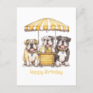 Alles Gute zum Geburtstag English Bulldogs Limonad Postkarte