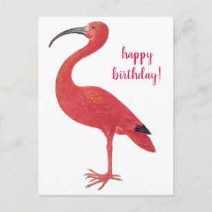 Alles Gute zum Geburtstag Flamingo Vintage Fine Ar Postkarte