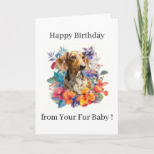 Alles Gute zum Geburtstag Foto Hund Katze Haustier