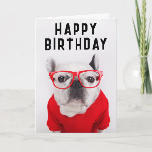 Alles Gute zum Geburtstag   Französische Bulldogge Karte