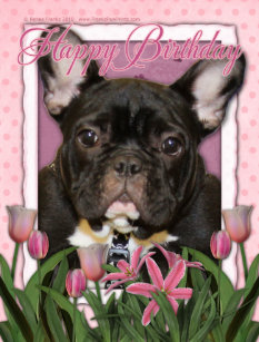 Alles Gute Zum Geburtstag Auf Turkisch Happy Lustige Wunsche