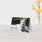 Alles Gute zum Geburtstag, freier Raum, Karte (Gelbe Blume)