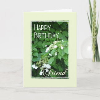 Alles Gute zum Geburtstag Freund-Blumen Karte