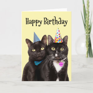 Alles Gute zum Geburtstag für alle Katzen im Party Feiertagskarte