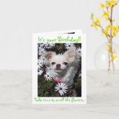 Alles Gute zum Geburtstag für Hunde Karte (Gelbe Blume)