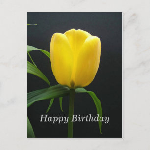 Alles Gute zum Geburtstag gelbe Tulpenblume Postkarte