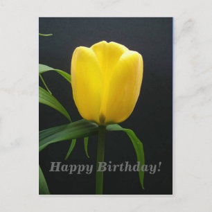 Alles Gute zum Geburtstag gelbe Tulpenblume Postkarte