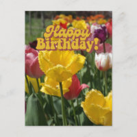 Alles Gute zum Geburtstag Gelbe und Rosa Tulpen Fl