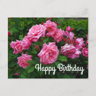 Alles Gute zum Geburtstag Gene Boerner Rose #2 Pos Postkarte
