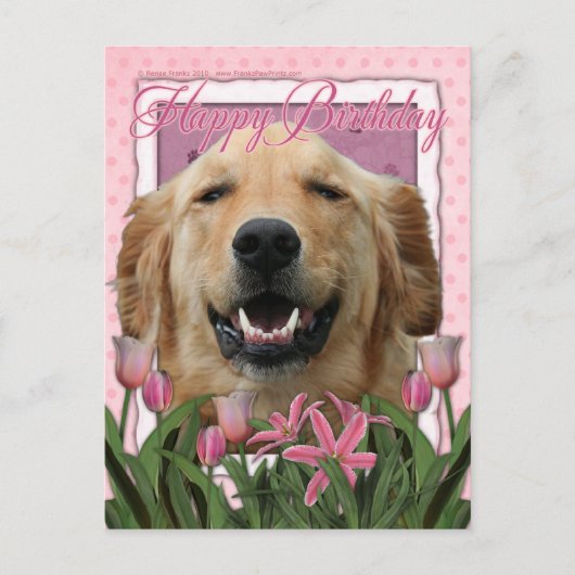 Alles Gute zum Geburtstag - Golden Retriever - Mic Postkarte (Vorderseite)