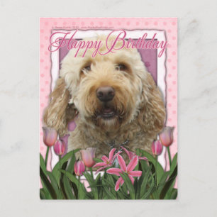 Alles Gute zum Geburtstag - Goldendoodle Postkarte
