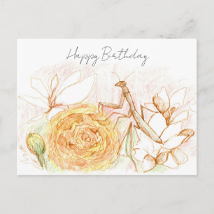 Alles Gute zum Geburtstag Gottesanbeterin Gartenwa Postkarte