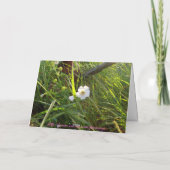 Alles Gute zum Geburtstag! - Gruß Karte (Rückseite)