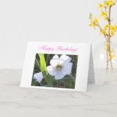 Alles Gute zum Geburtstag! - Gruß Karte (Gelbe Blume)